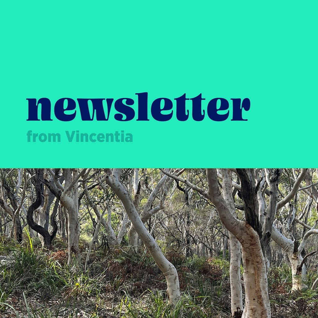 Read more about the article Newsletter July 2026