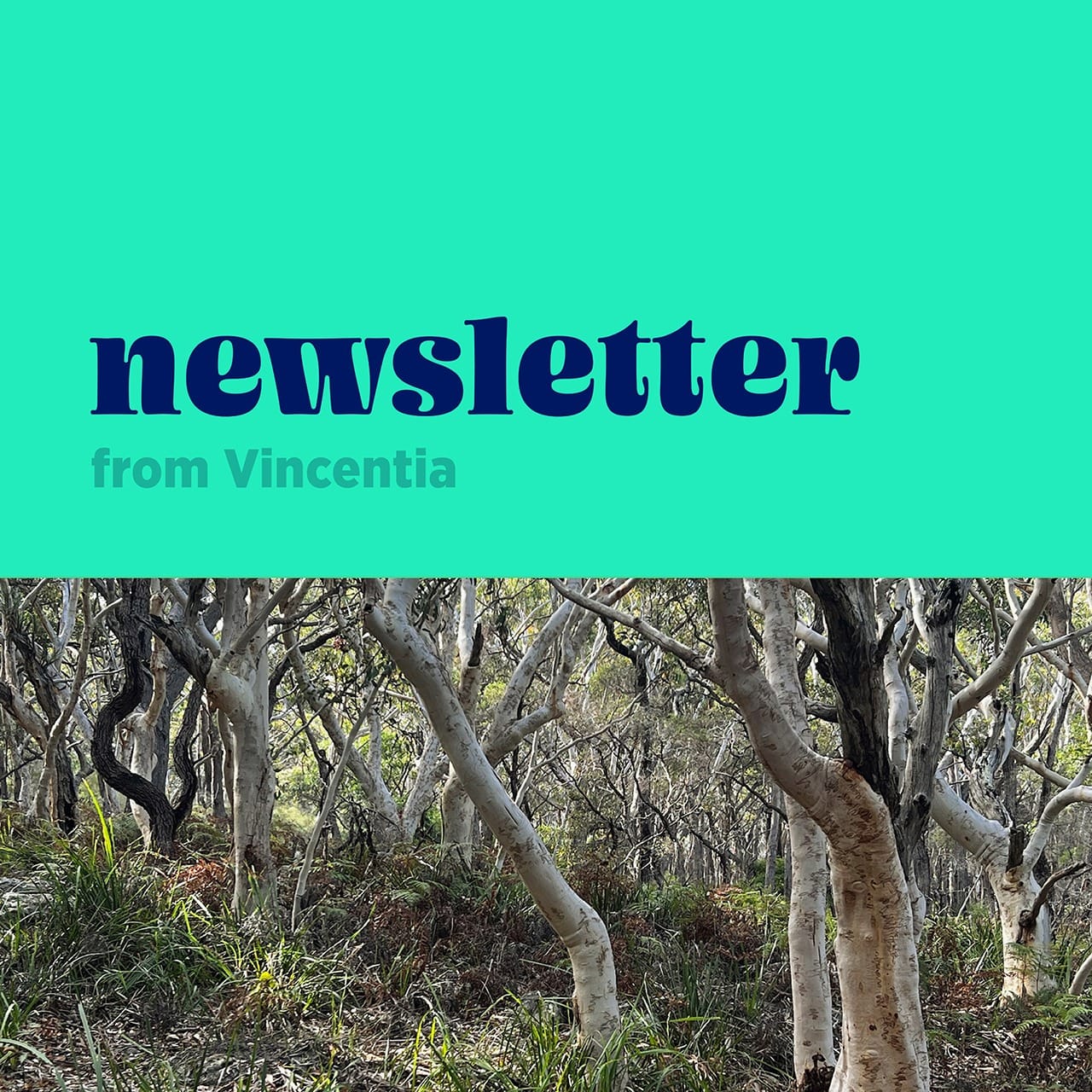You are currently viewing Newsletter July 2026