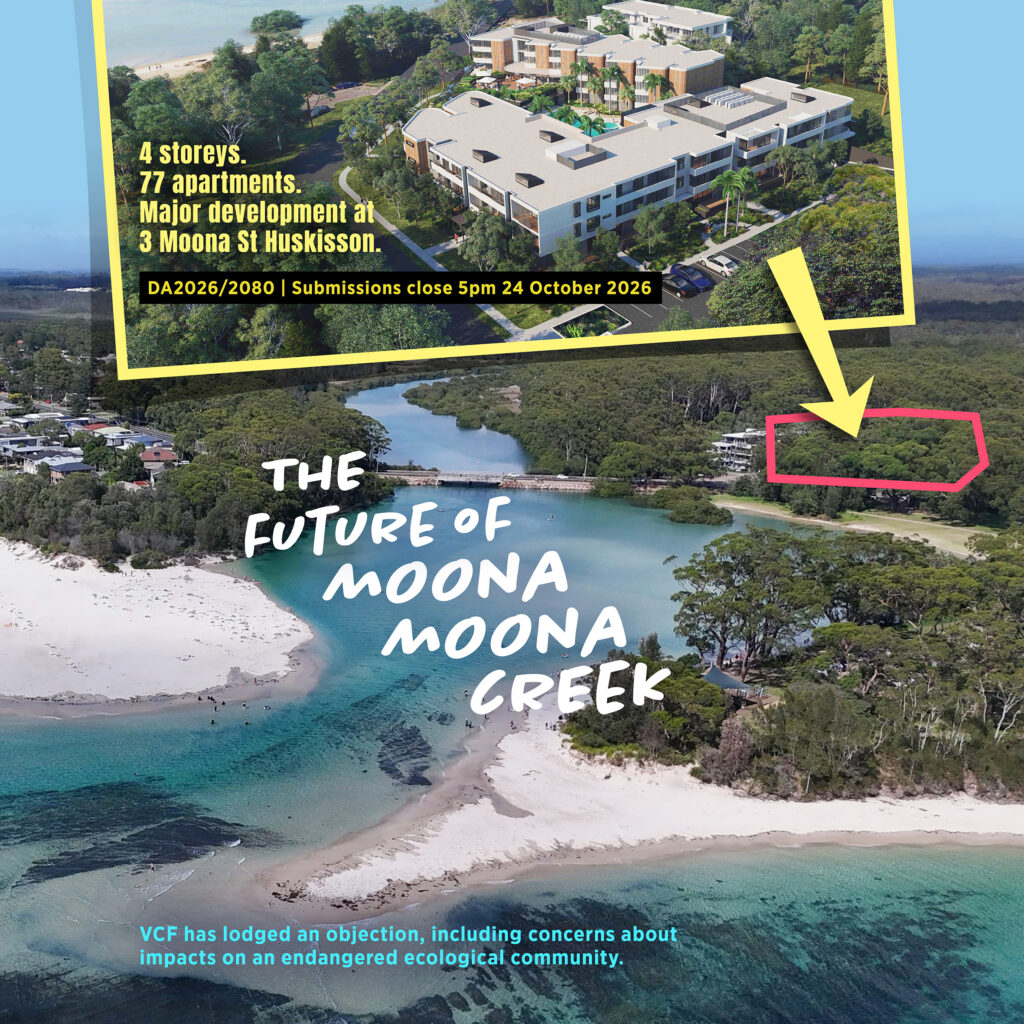 An aerial view of the Moona Moona Creek estuary and its sandbanks on a sunny day. Turquoise water winds through the creek, with Bangalay forest lining both shores. Mangroves fringe the waterway near and beyond the bridge, while tall native bushland trees rise in the distance, highlighting the area’s natural character. Superimposed over the landscape is an architectural rendering of the proposed four-storey, 77-apartment development at 3 Moona Street, Huskisson. Words over the image read: ‘4 storeys. 77 apartments. Major development at 3 Moona St Huskisson. DA2026/2080 – Submissions close 5pm 24 October 2026. The future of Moona Moona Creek. VCF has lodged an objection, including concerns about impacts on an endangered ecological community.’