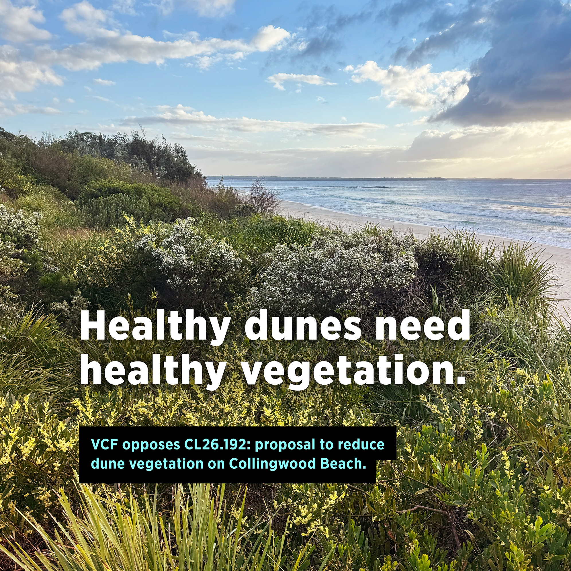 You are currently viewing VCF Objection to Collingwood Beach Dune Motion