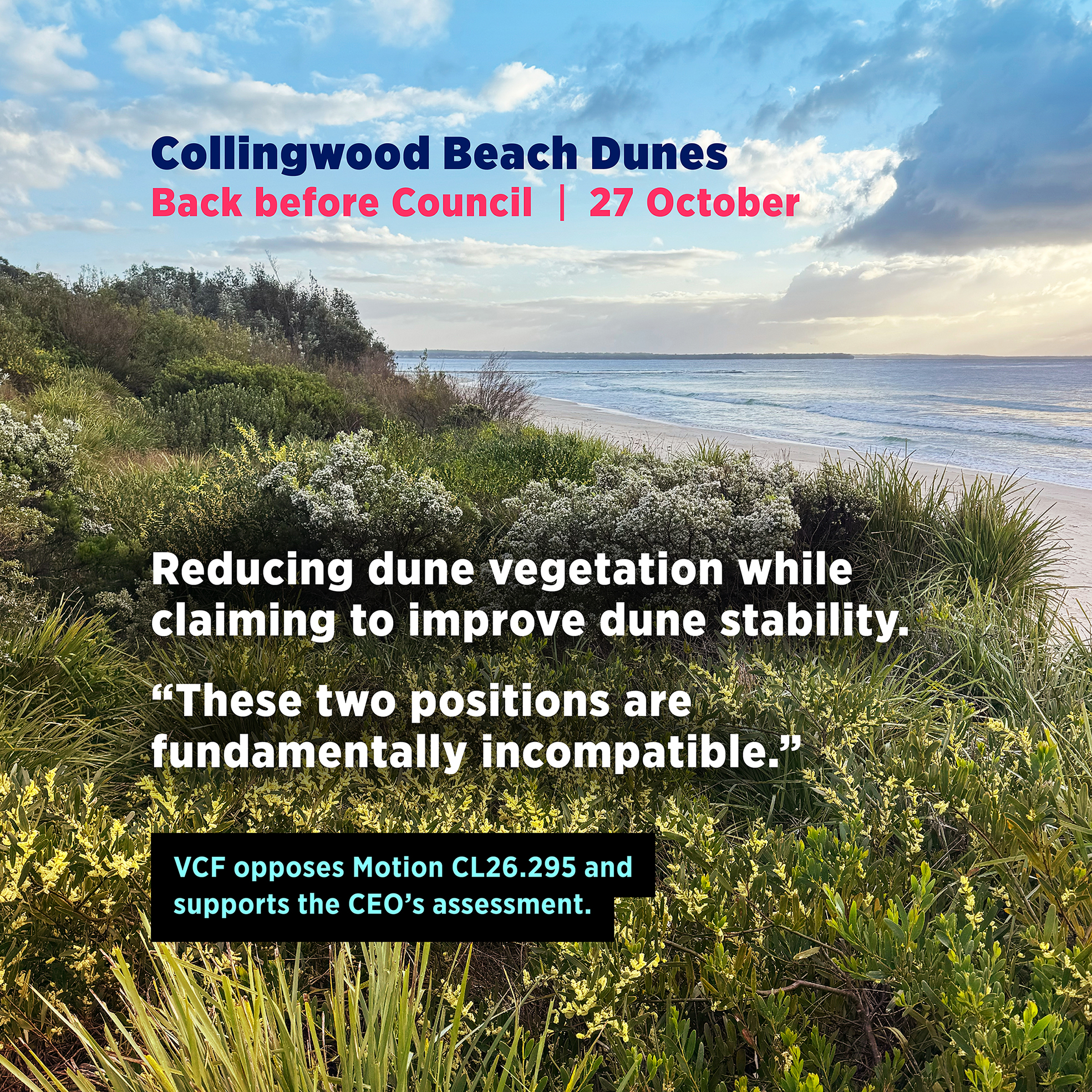 You are currently viewing CL26.295 Notice of Motion – Ongoing Maintenance of Vegetation and Dune Care Action at Collingwood Beach
