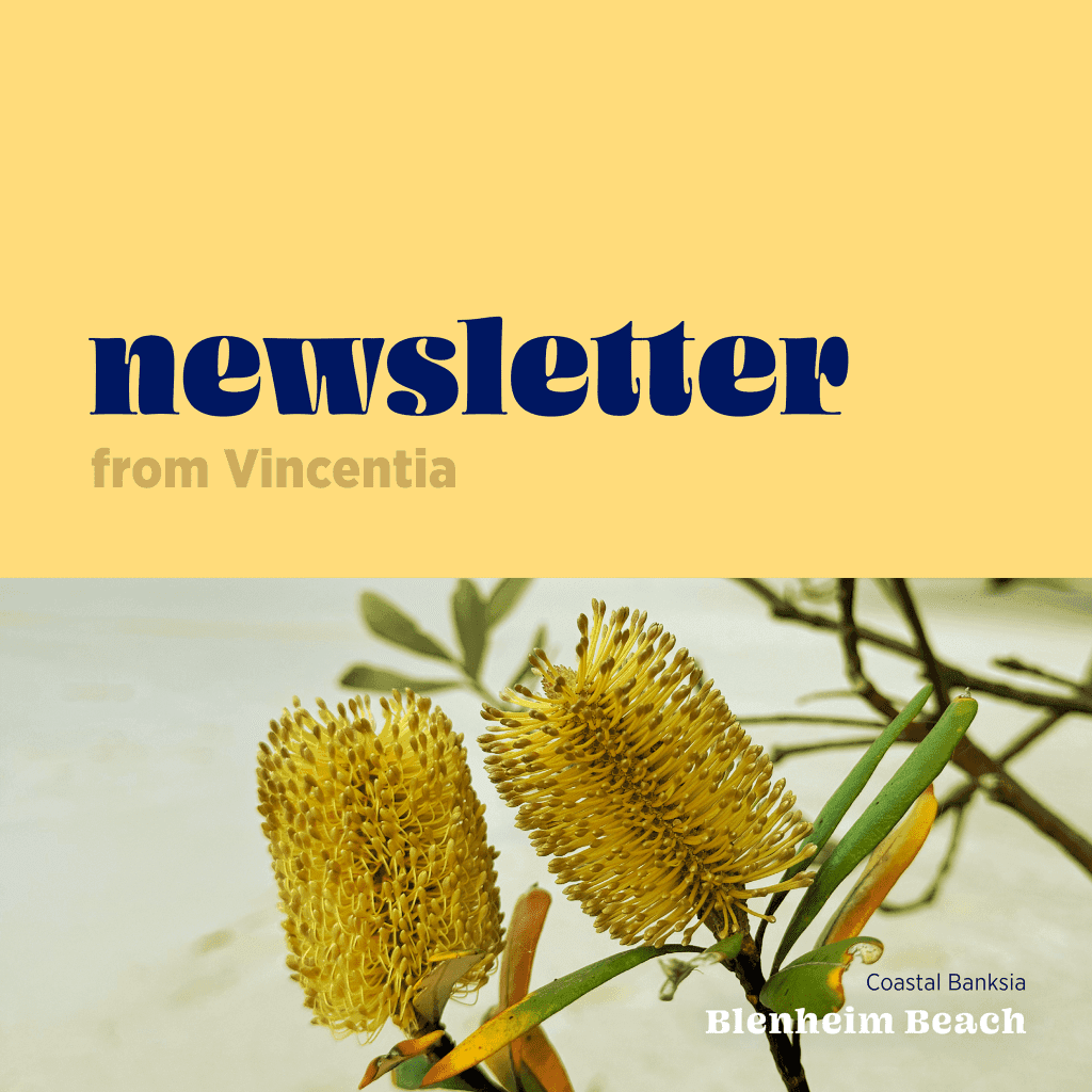 Read more about the article Newsletter – October 2025